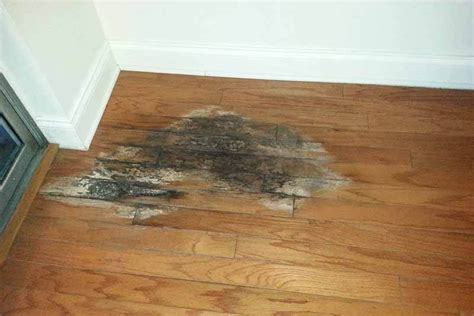 wood floor moisture problems